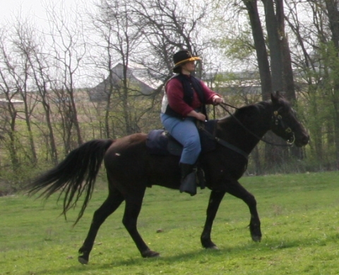 Monty - Rider Corporal Dawn Conlin aka Alonzo Beaman